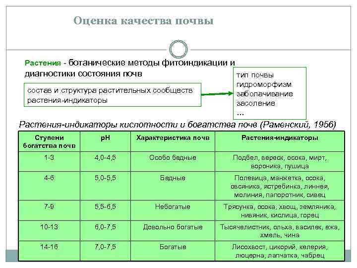 Оценка качества почвы Растения - ботанические методы фитоиндикации и диагностики состояния почв тип почвы