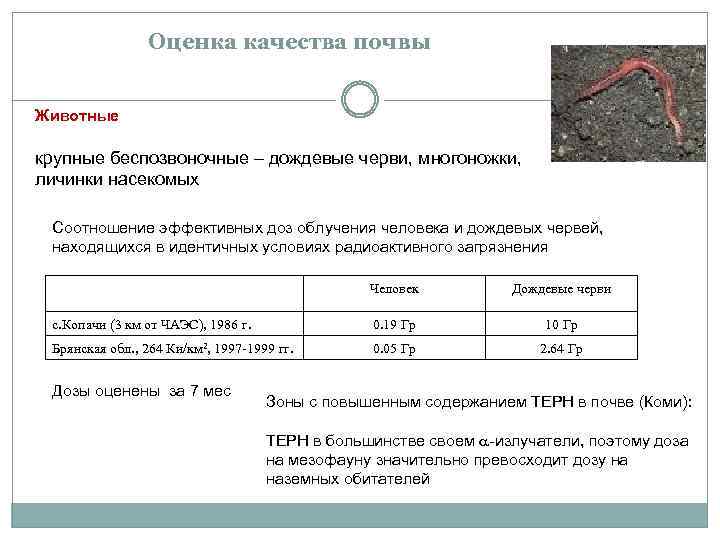 Оценка качества почвы Животные крупные беспозвоночные – дождевые черви, многоножки, личинки насекомых Соотношение эффективных