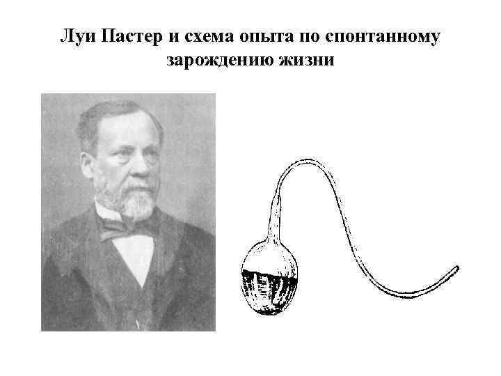 Луи Пастер и схема опыта по спонтанному зарождению жизни 