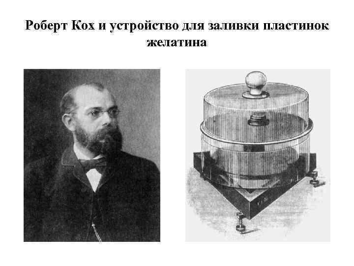 Роберт Кох и устройство для заливки пластинок желатина 