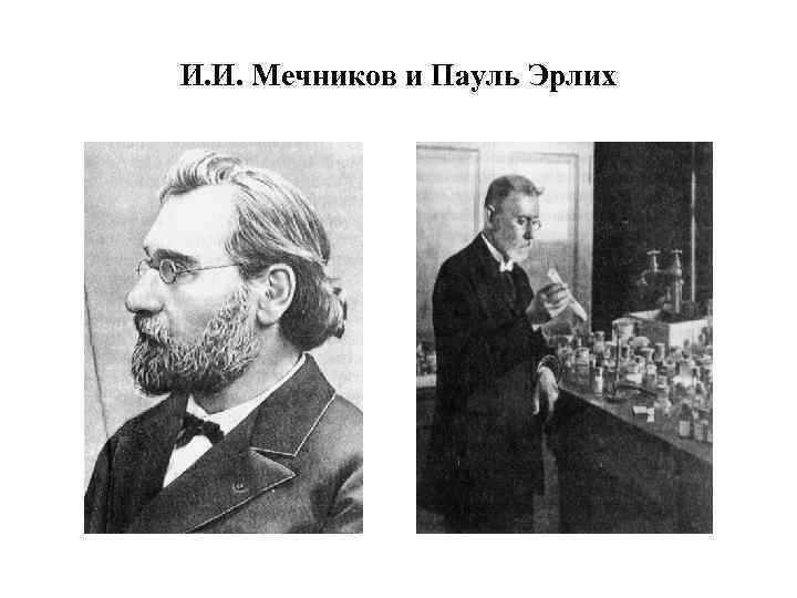 И. И. Мечников и Пауль Эрлих 