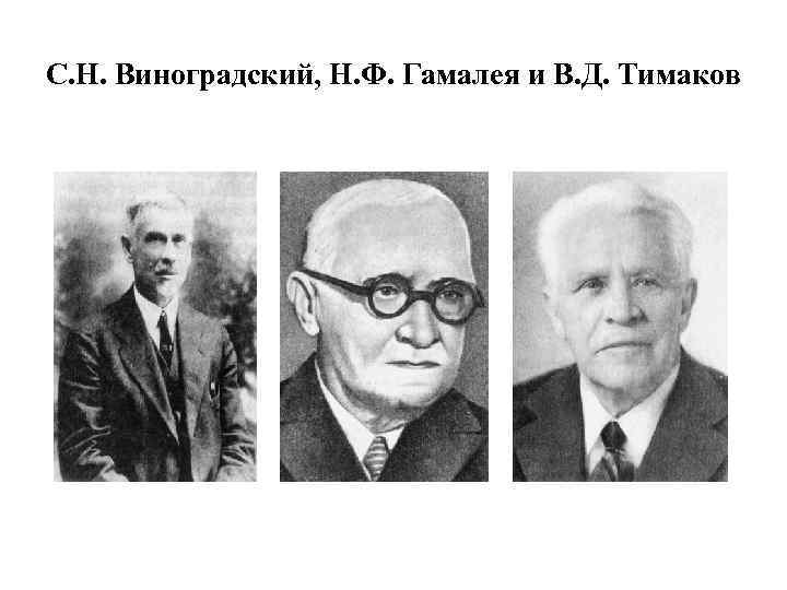С. Н. Виноградский, Н. Ф. Гамалея и В. Д. Тимаков 