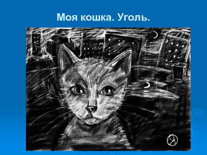 Моя кошка. Уголь. 