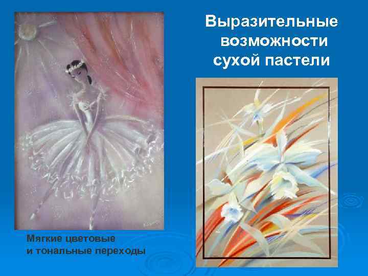 Выразительные возможности сухой пастели Мягкие цветовые и тональные переходы 