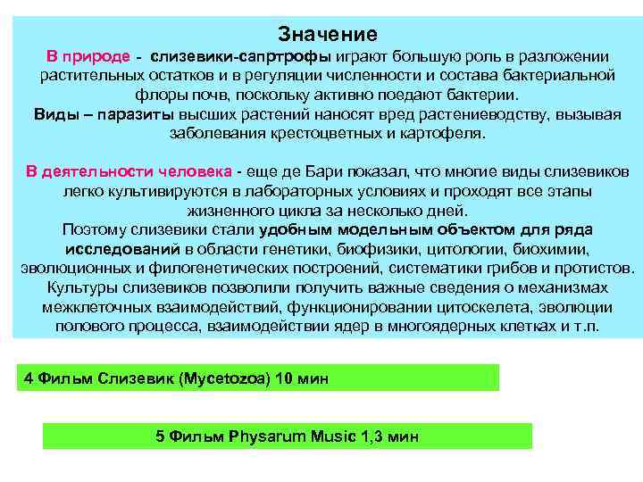 Значение В природе - слизевики-сапртрофы играют большую роль в разложении растительных остатков и в