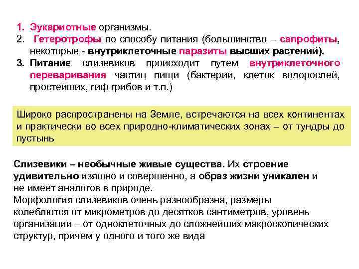 1. Эукариотные организмы. 2. Гетеротрофы по способу питания (большинство – сапрофиты, некоторые - внутриклеточные