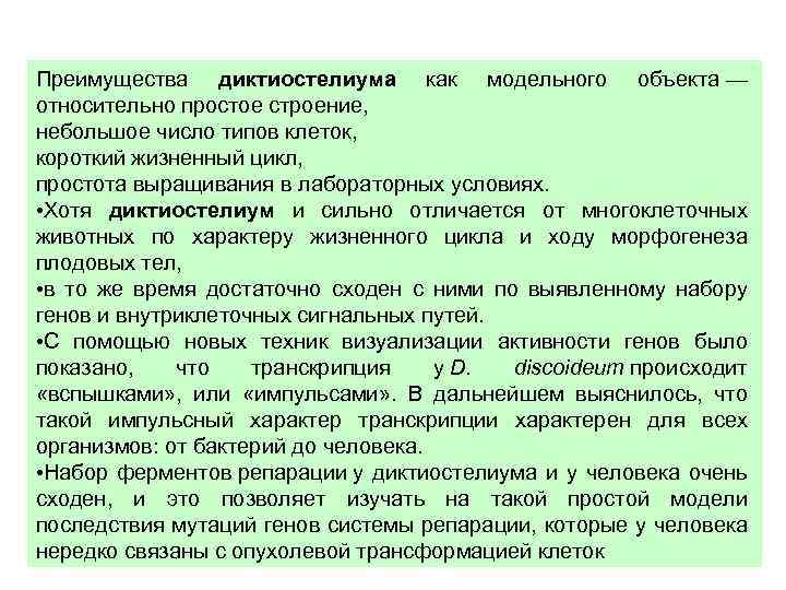 Преимущества диктиостелиума как модельного объекта — относительно простое строение, небольшое число типов клеток, короткий