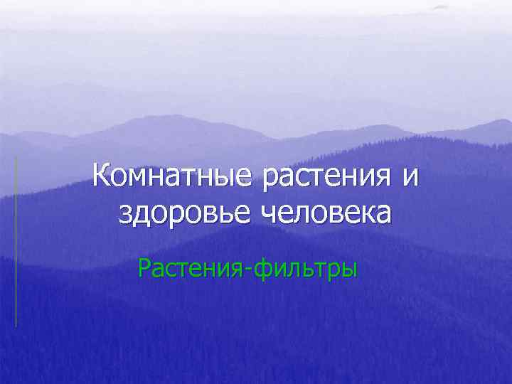 Комнатные растения и здоровье человека Растения-фильтры 