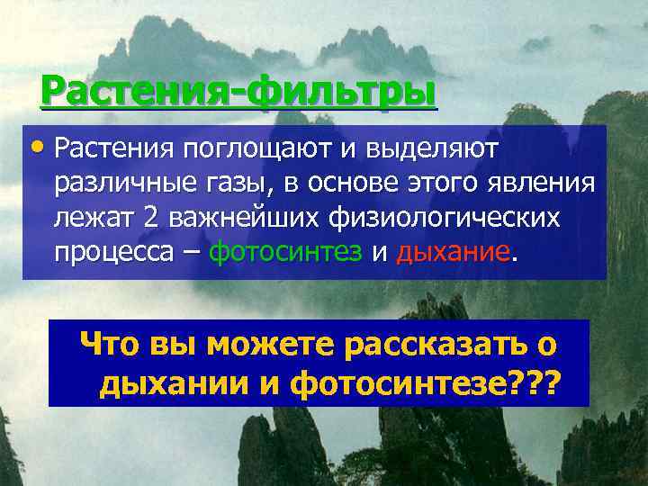 Растения-фильтры • Растения поглощают и выделяют различные газы, в основе этого явления лежат 2