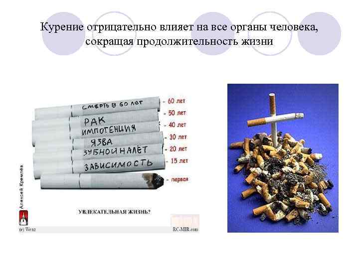 Курение отрицательно влияет на все органы человека, сокращая продолжительность жизни 
