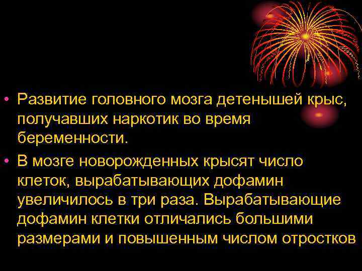  • Развитие головного мозга детенышей крыс, получавших наркотик во время беременности. • В