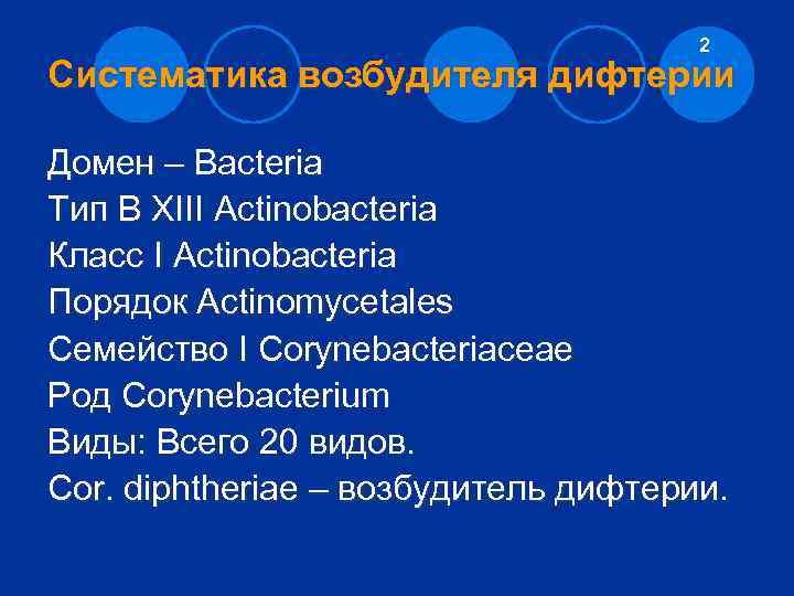2 Систематика возбудителя дифтерии Домен – Bacteria Тип В XIII Actinobacteria Класс I Actinobacteria