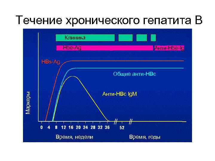 Течение хронического гепатита В Клиника Hbe-Ag Анти-Hbe-Ig HBs-Ag Общие анти-HBc Маркеры Анти-HBc Ig. M