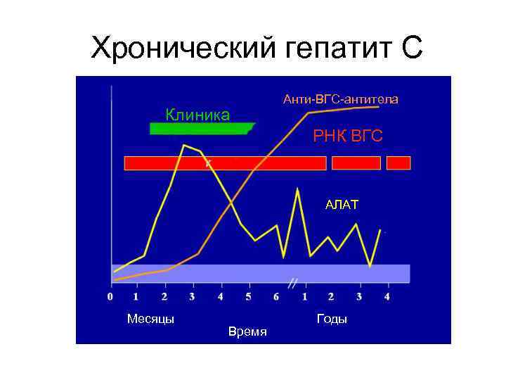 Антитела к вирусному гепатиту с. Динамика появления антител к гепатиту с. Антитела к ВГС. Антитела при гепатите в. Антитела к вирусу гепатита с.