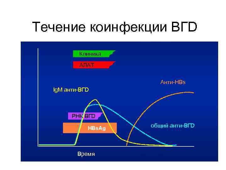 Течение коинфекции ВГD Клиника АЛАТ Анти-HBs Ig. M анти-ВГD РНК ВГD общий анти-ВГD Время