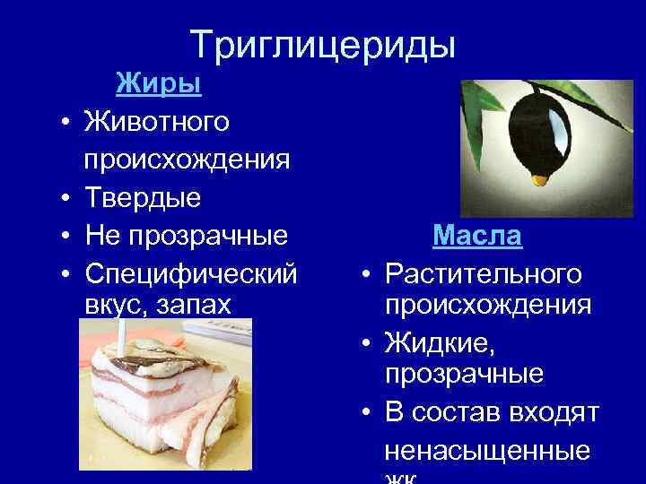 Триглицериды • • Жиры Животного происхождения Твердые Не прозрачные Специфический вкус, запах Масла •