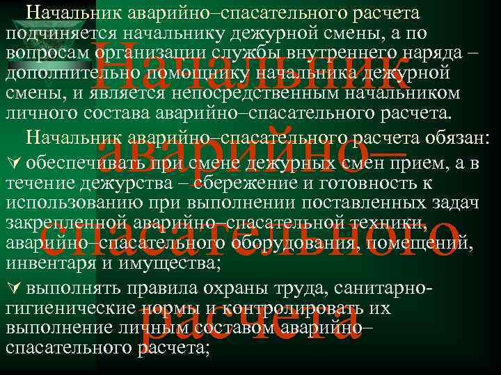 Начальник аварийно–спасательного расчета подчиняется начальнику дежурной смены, а по вопросам организации службы внутреннего наряда