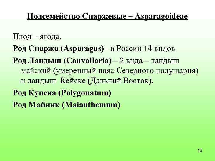 Подсемейство Спаржевые – Asparagoideae Плод – ягода. Род Спаржа (Asparagus)– в России 14 видов