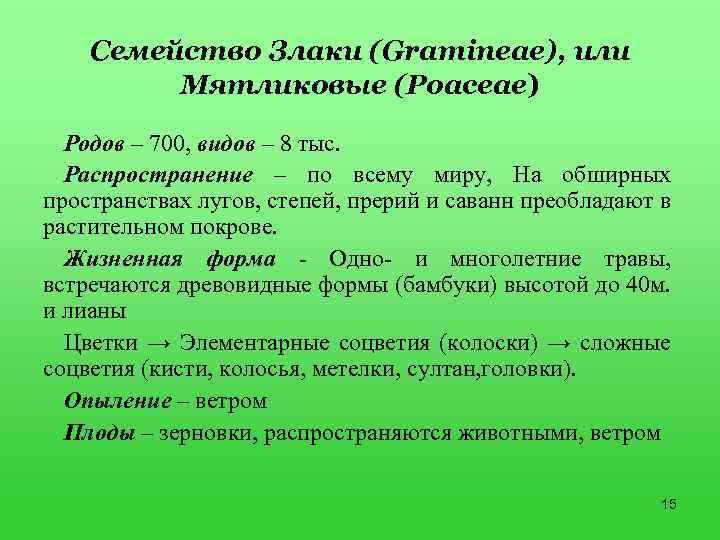 Класс однодольные семейство лилейные и злаки 6 класс презентация