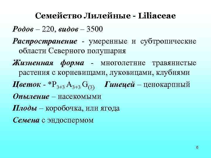 Семейство Лилейные - Liliaceae Родов – 220, видов – 3500 Распространение - умеренные и