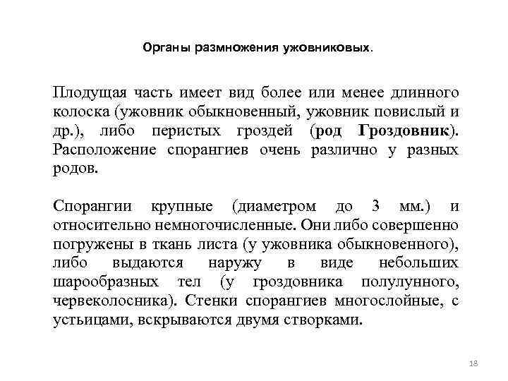 Органы размножения ужовниковых. Плодущая часть имеет вид более или менее длинного колоска (ужовник обыкновенный,