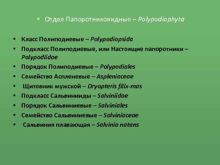  Отдел Папоротниковидные – Polypodiophyta • Класс Полиподиевые – Polypodiopsida • Подкласс Полиподиевые, или