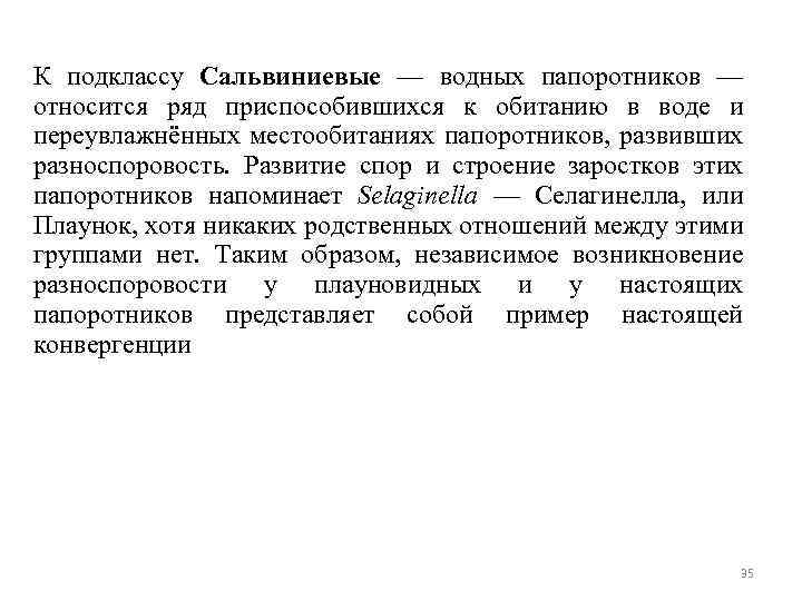 К подклассу Сальвиниевые — водных папоротников — относится ряд приспособившихся к обитанию в воде