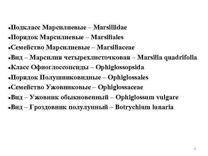 Подкласс Марсилиевые – Marsiliidae Порядок Марсилиевые – Marsiliales Семейство Марсилиевые – Marsiliaceae Вид –