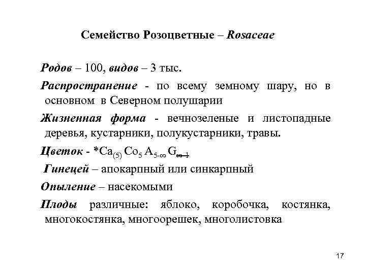 Семейство Розоцветные – Rosaceae Родов – 100, видов – 3 тыс. Распространение - по
