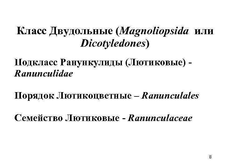Класс Двудольные (Magnoliopsida или Dicotyledones) Подкласс Ранункулиды (Лютиковые) Ranunculidae Порядок Лютикоцветные – Ranunculales Семейство