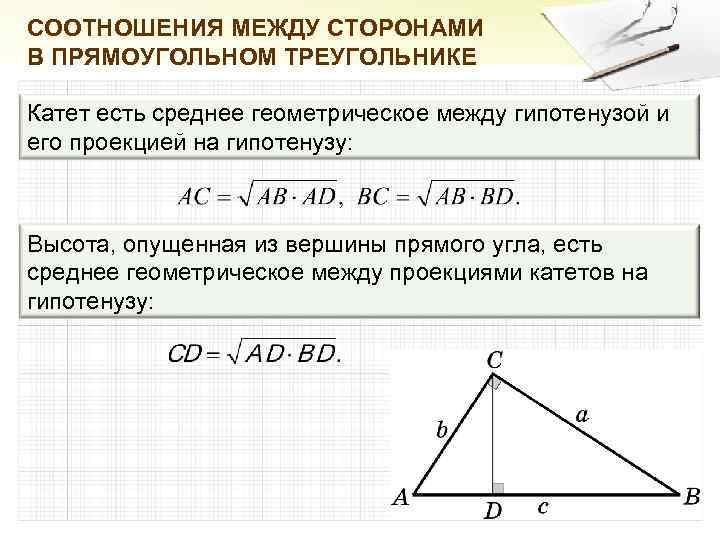 Высота есть среднее пропорциональное между гипотенузой