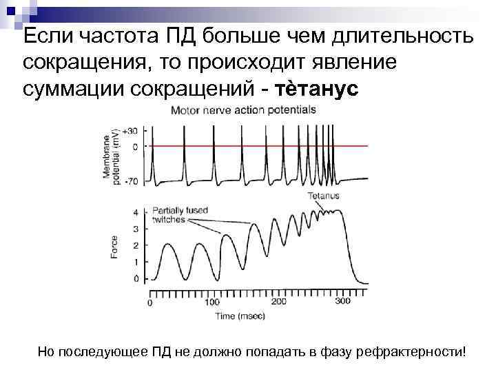 Частота сокращения мышц человека. Суммация мышечных сокращений тетанус. Неполная суммация мышечных сокращений. Полная и неполная суммация мышечных сокращений. Суммация мышечных сокращений это в физиологии.