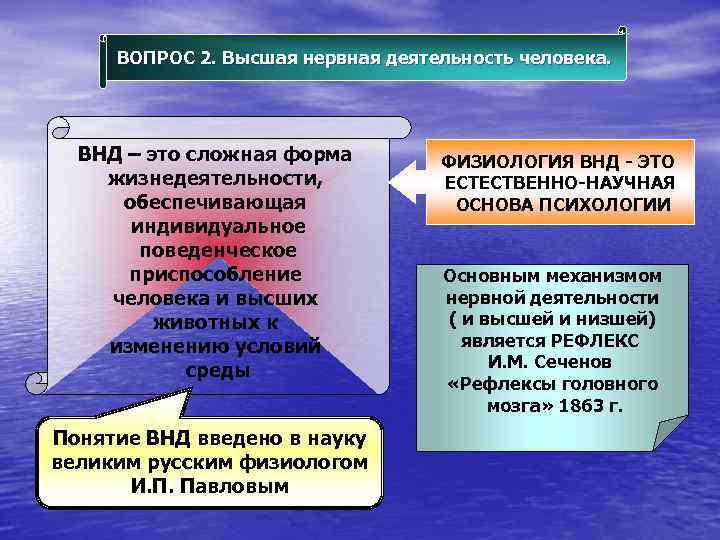 ВОПРОС 2. Высшая нервная деятельность человека. ВНД – это сложная форма жизнедеятельности, обеспечивающая индивидуальное