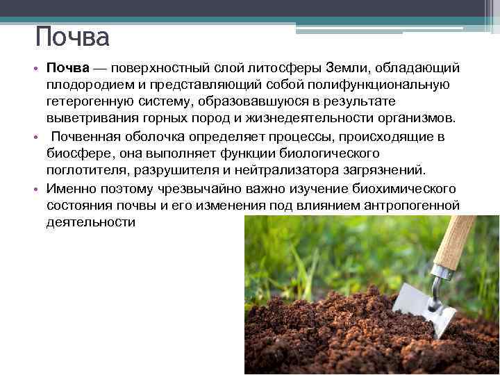Почва • Почва — поверхностный слой литосферы Земли, обладающий плодородием и представляющий собой полифункциональную