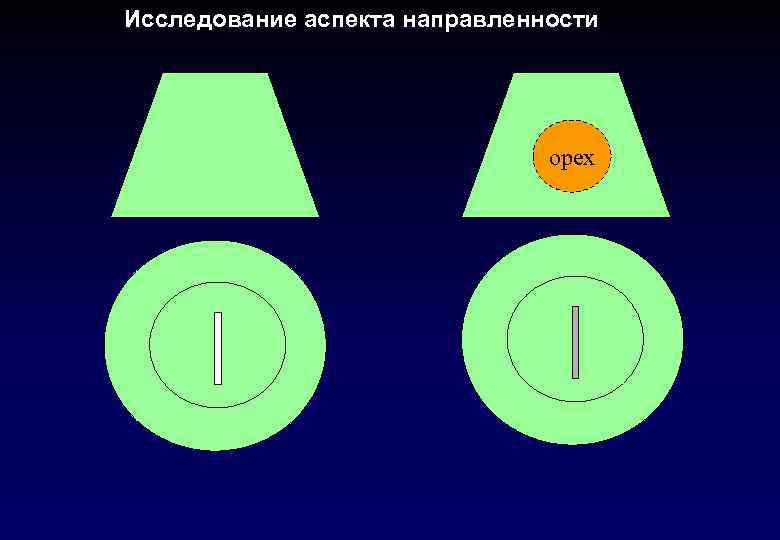 Исследование аспекта направленности орех 