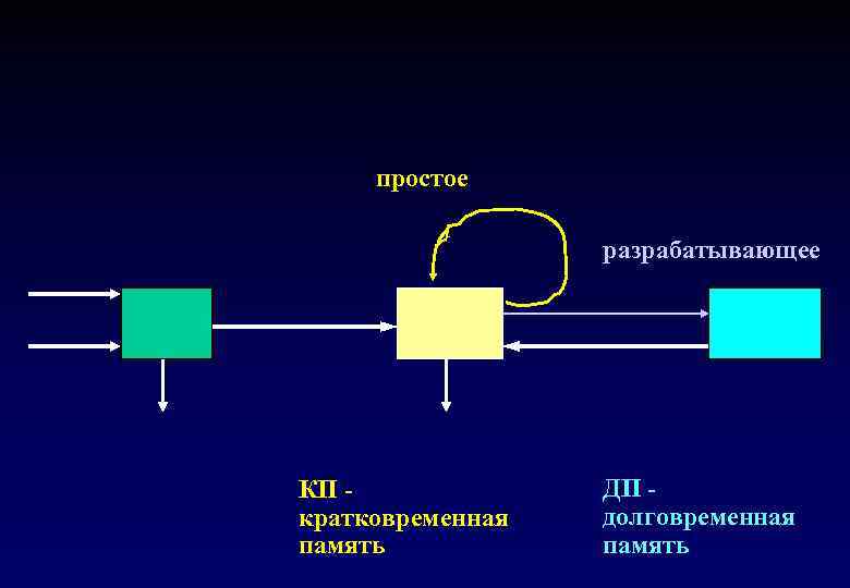 простое разрабатывающее КП кратковременная память ДП долговременная память 