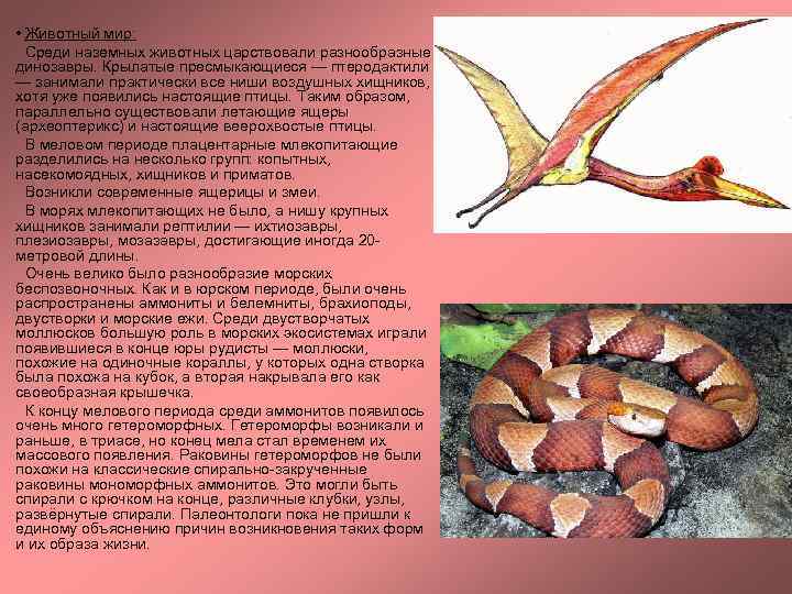  • Животный мир: Среди наземных животных царствовали разнообразные динозавры. Крылатые пресмыкающиеся — птеродактили