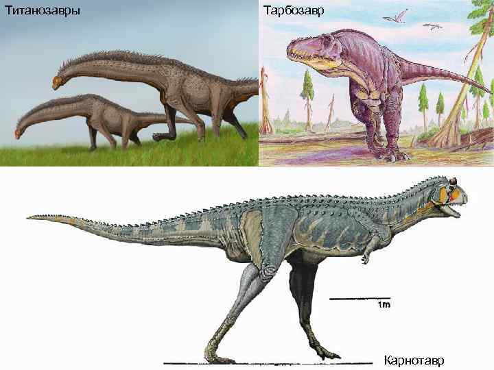 Титанозавры Тарбозавр Карнотавр 