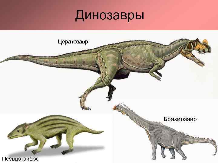 Динозавры Цератозавр Брахиозавр Псевдотрибос 