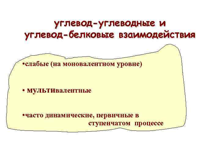 углевод-углеводные и углевод-белковые взаимодействия • cлабые (на моновалентном уровне) • мультивалентные • часто динамические,
