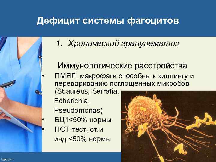 Дефицит системы фагоцитов 1. Хронический гранулематоз Иммунологические расстройства • • • ПМЯЛ, макрофаги способны