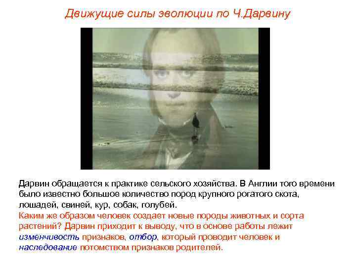 Движущие силы эволюции по Ч. Дарвину Дарвин обращается к практике сельского хозяйства. В Англии