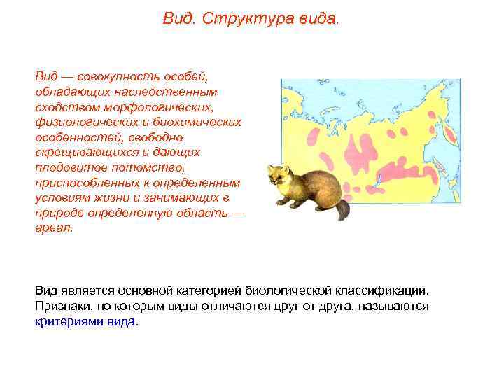 Вид. Структура вида. Вид — совокупность особей, обладающих наследственным сходством морфологических, физиологических и биохимических
