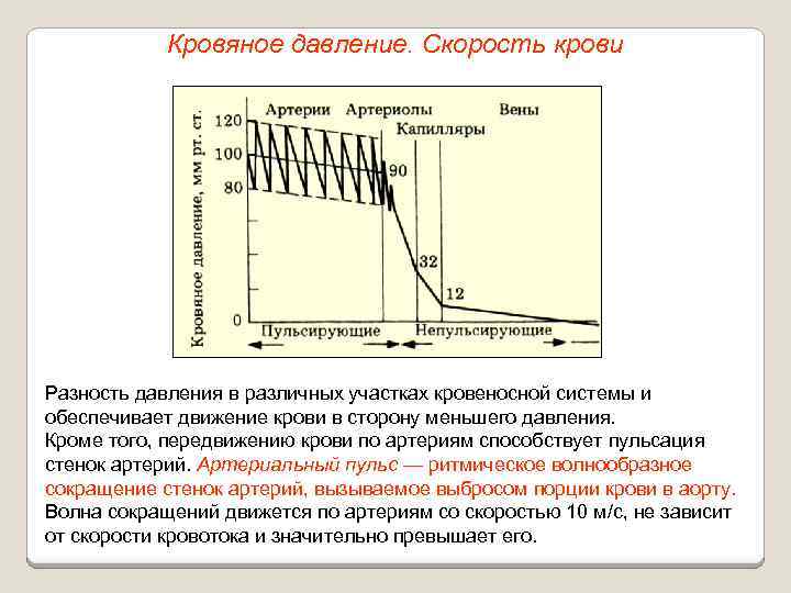 Кровяное давление. Скорость крови Разность давления в различных участках кровеносной системы и обеспечивает движение