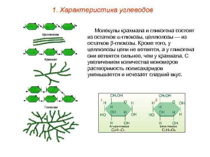 1. Характеристика углеводов Молекулы крахмала и гликогена состоят из остатков -глюкозы, целлюлозы — из
