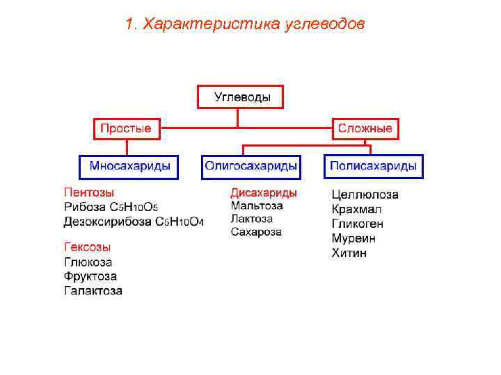 1. Характеристика углеводов 