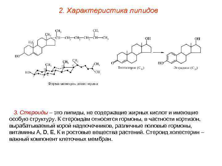 2. Характеристика липидов 3. Стероиды – это липиды, не содержащие жирных кислот и имеющие