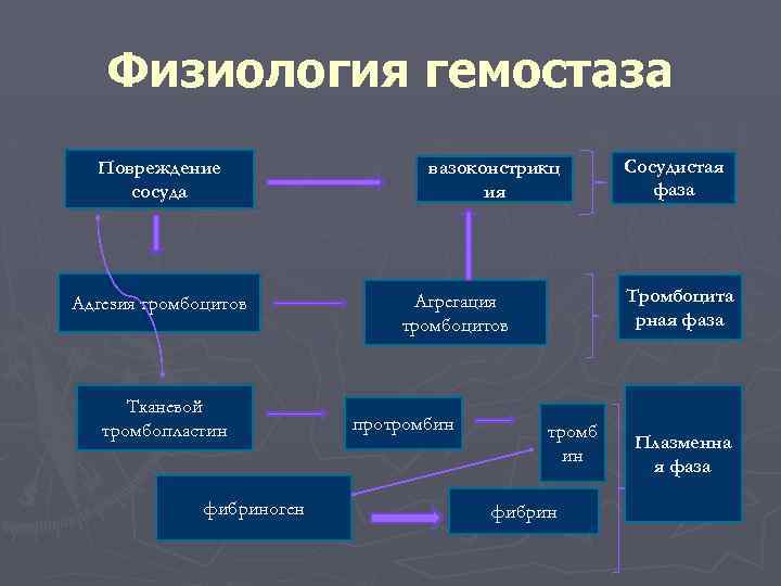 Понятие гемостаза изобразить схему гемостаза