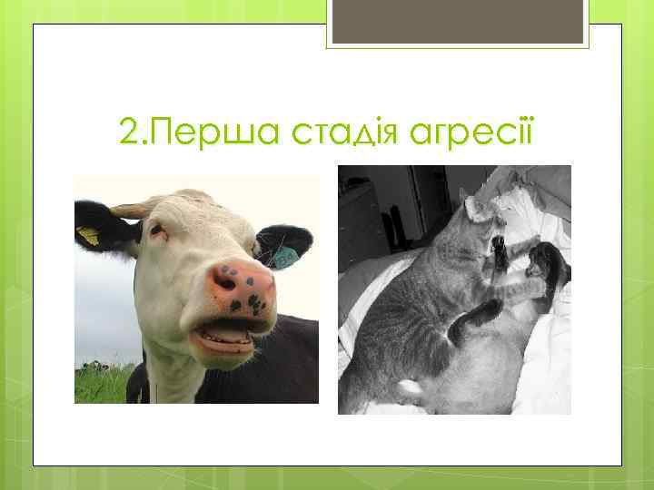 2. Перша стадія агресії 