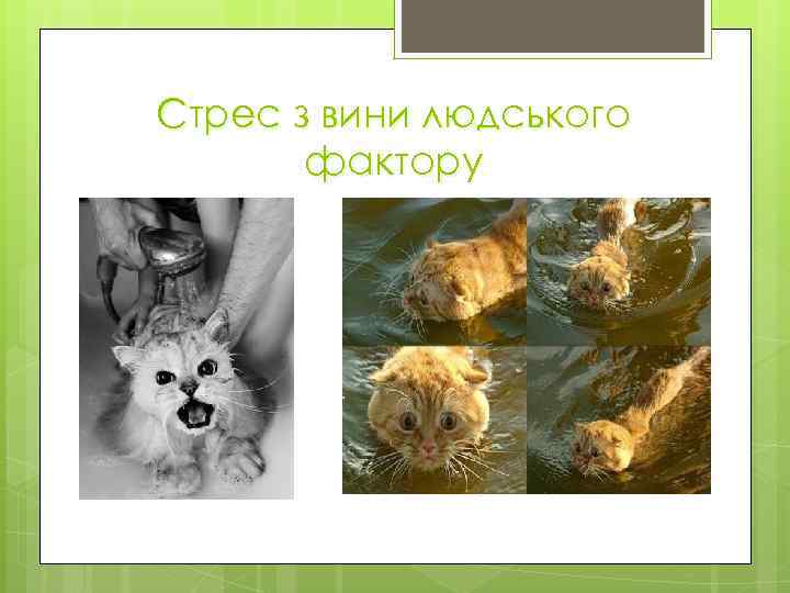 Стрес з вини людського фактору 